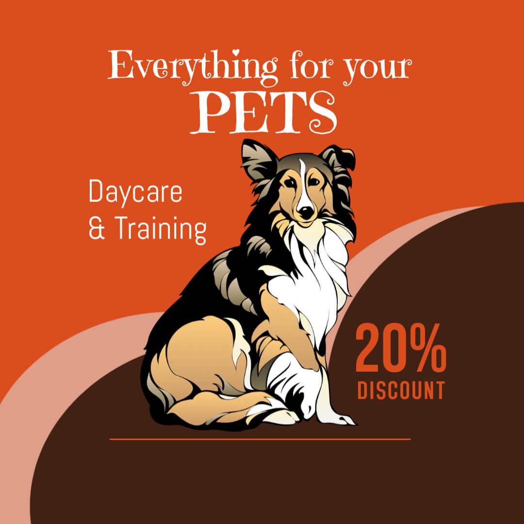 Animal Care