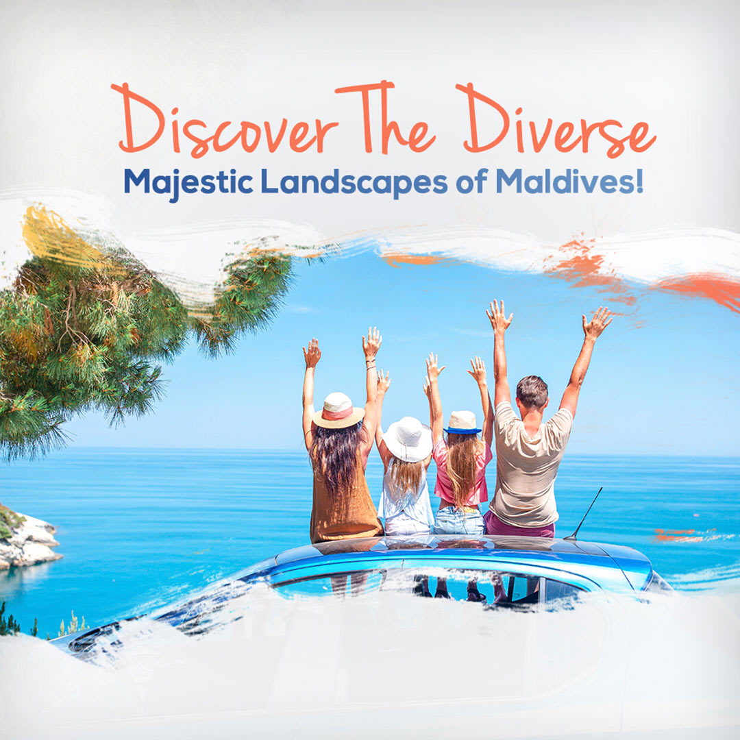 Tours and Travels