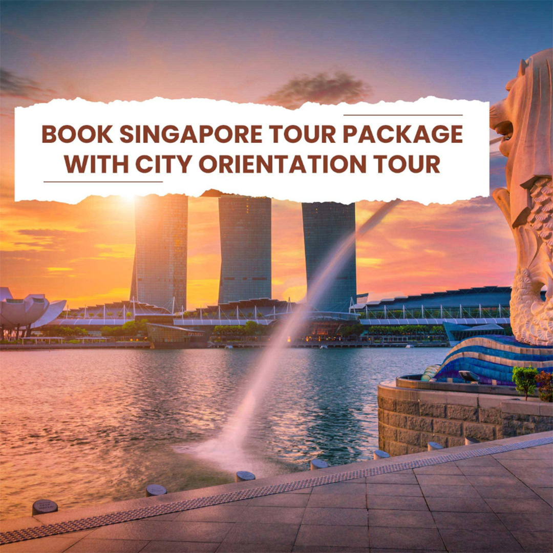 Tours and Travels