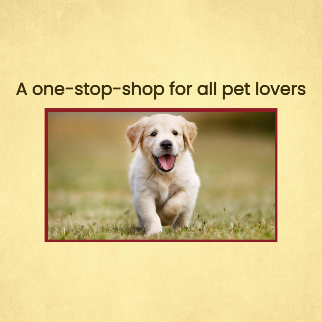 Pet Shop