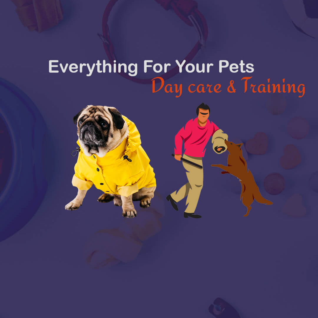 Animal Care