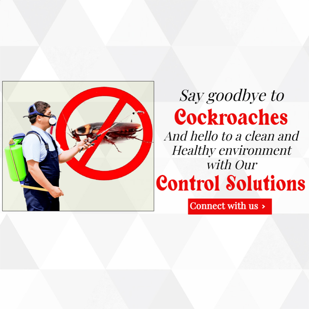 Pest Control