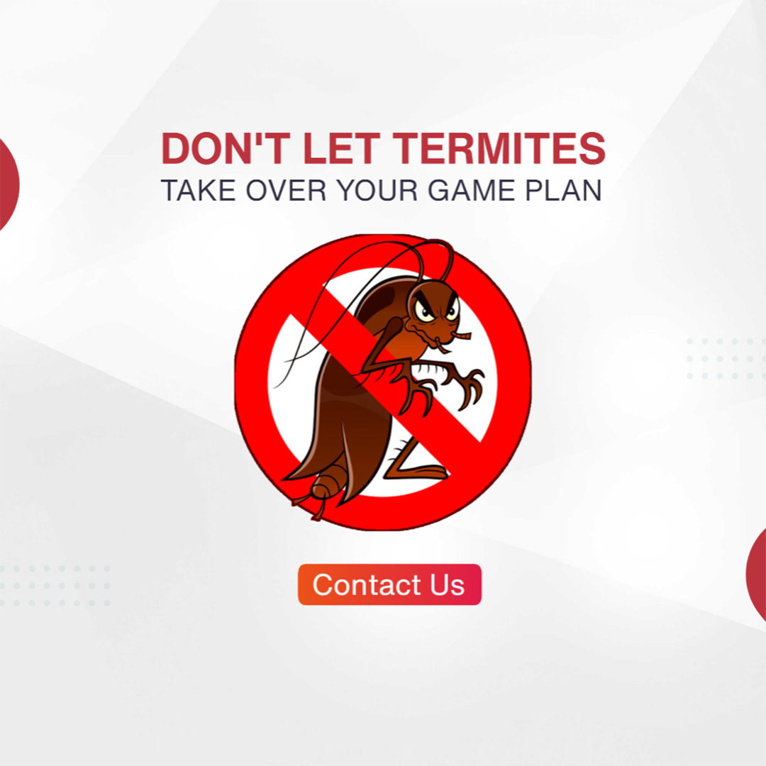 Pest Control