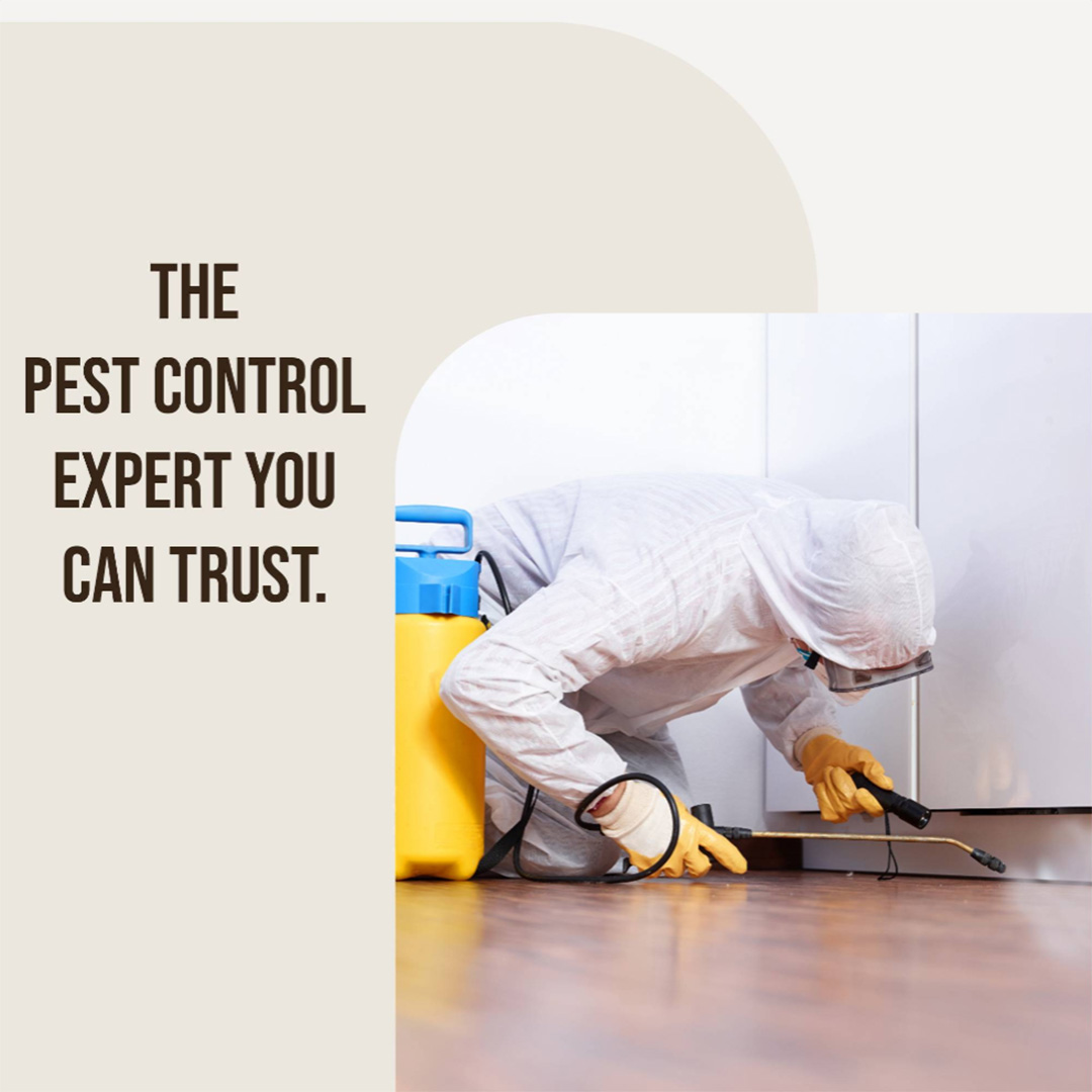 Pest Control