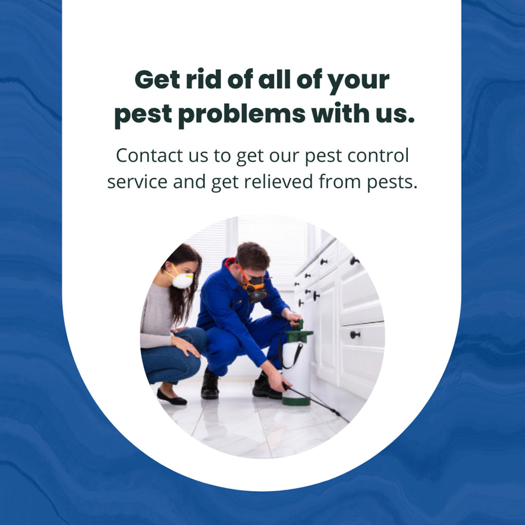 Pest Control