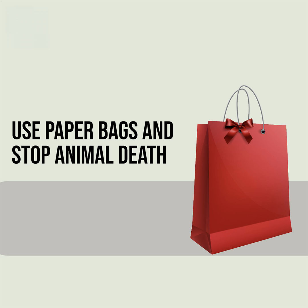 Bag Manufacturing