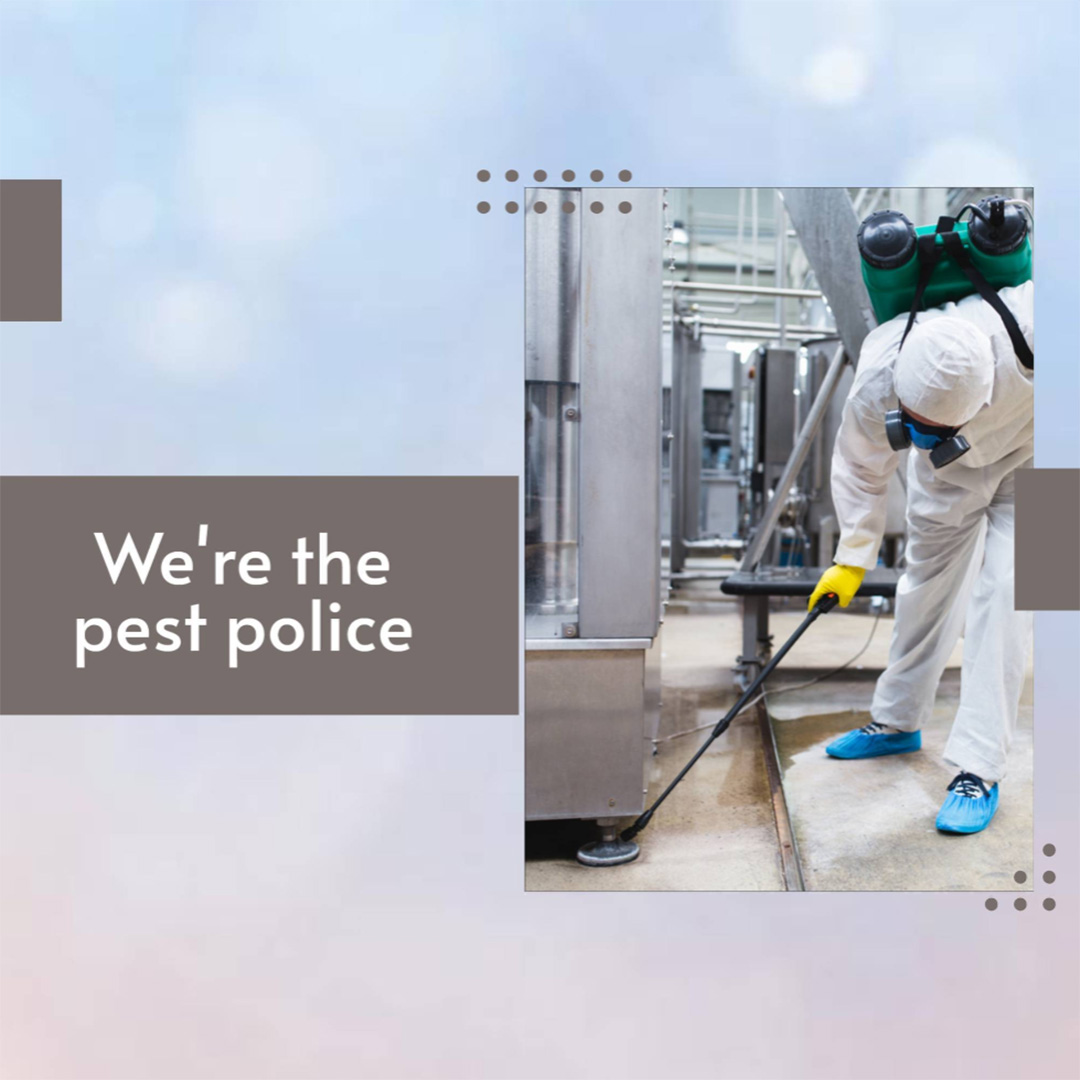 Pest Control