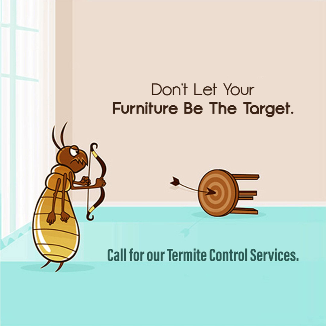 Pest Control