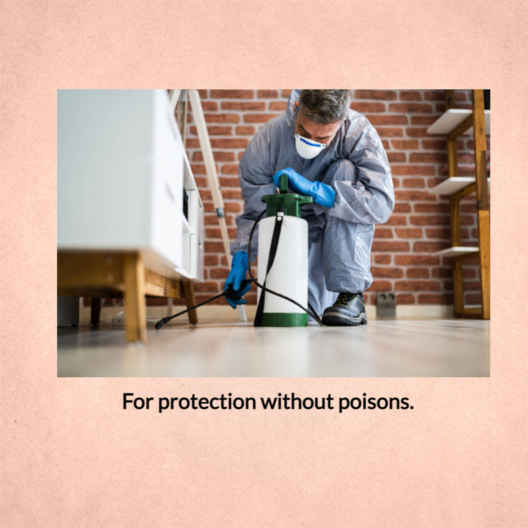 Pest Control