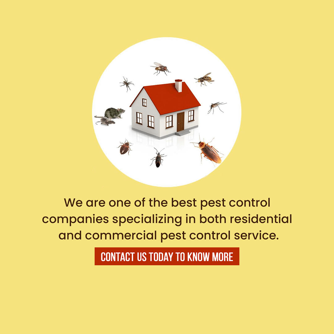 Pest Control