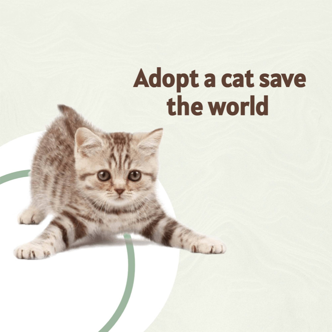 Pet Shop