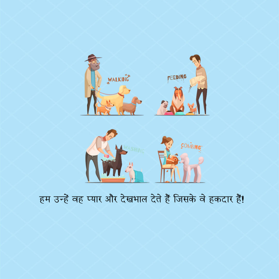 Animal Care