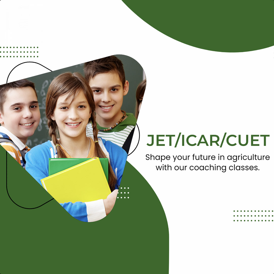 Education & Coaching