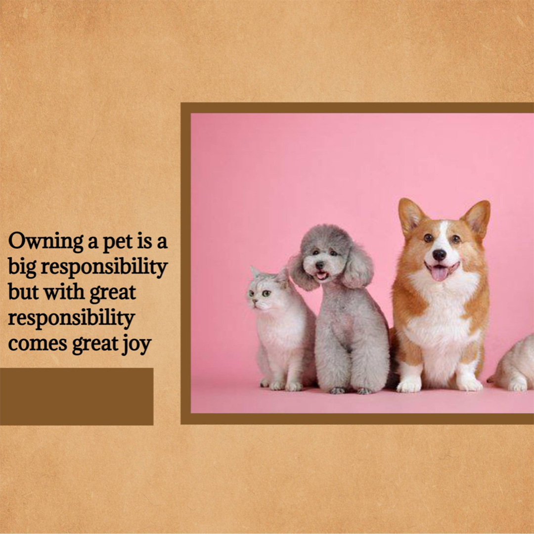 Pet Shop