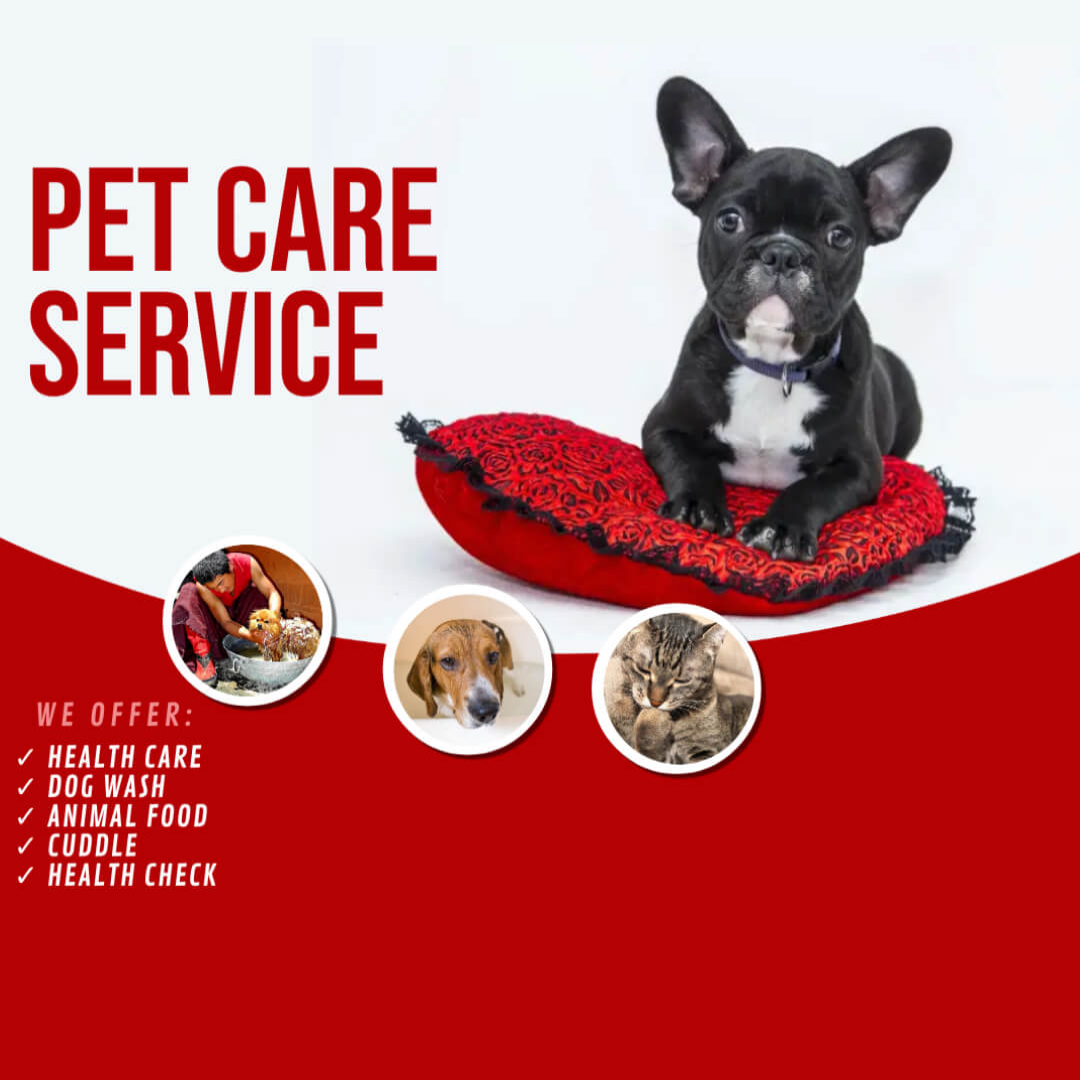 Animal Care