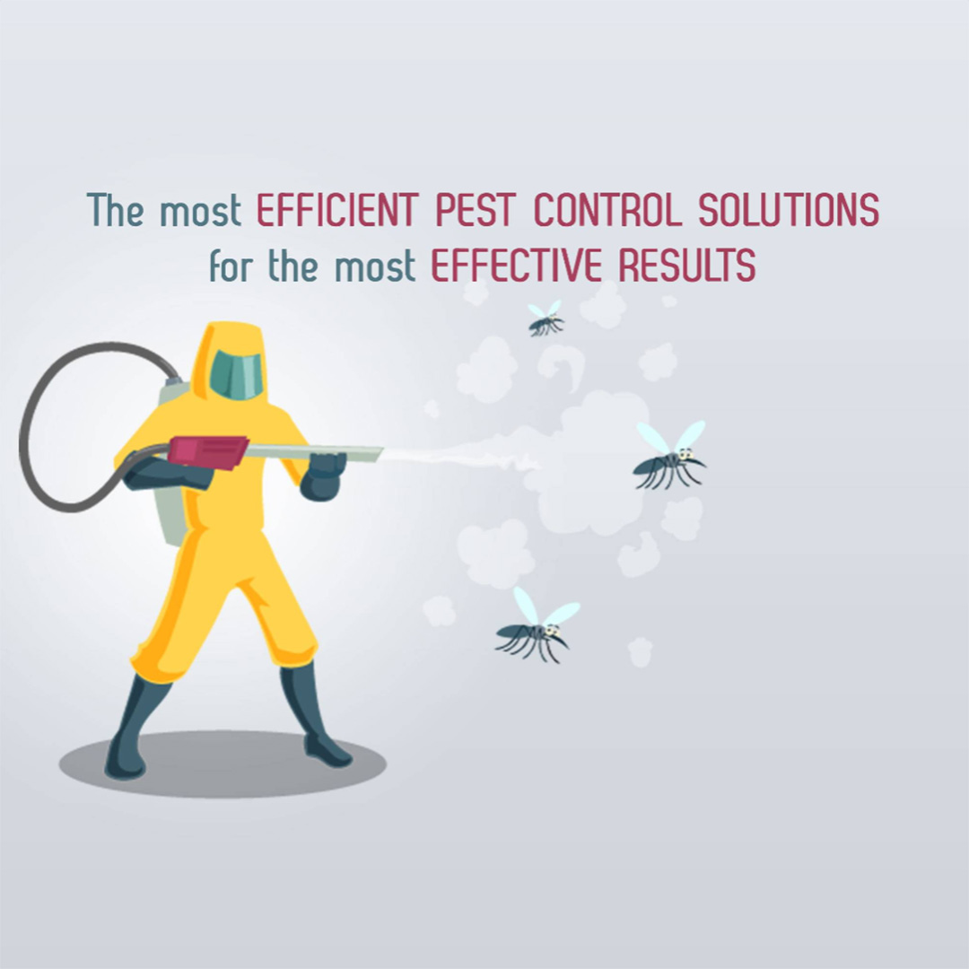 Pest Control
