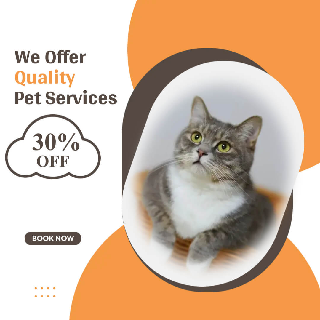 Animal Care