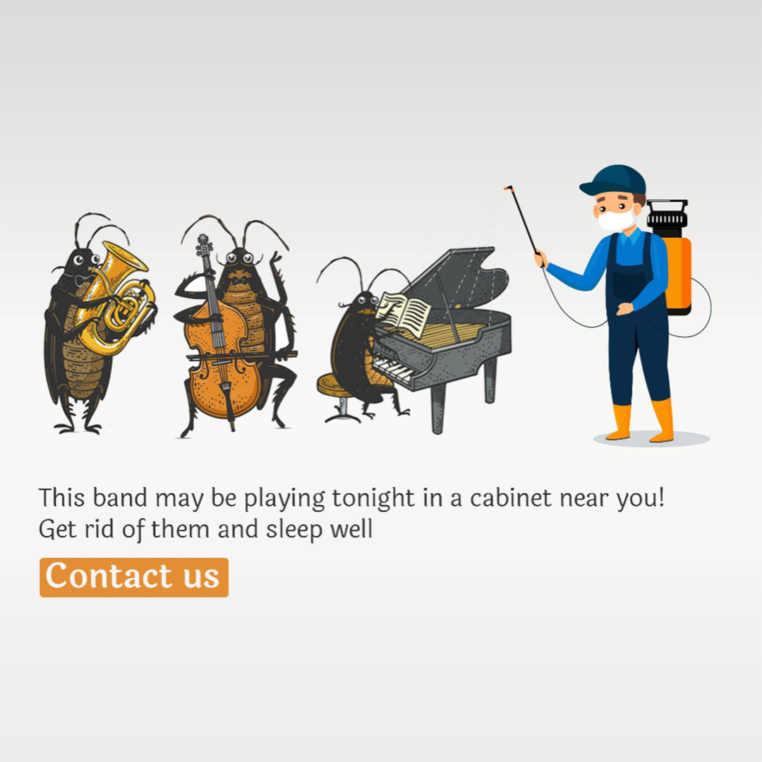 Pest Control