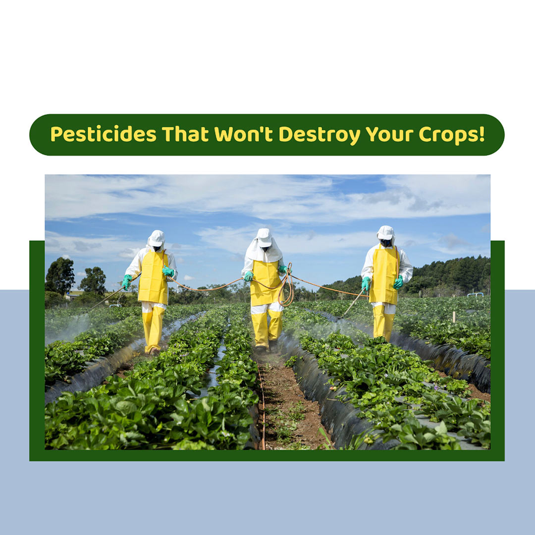 Agriculture