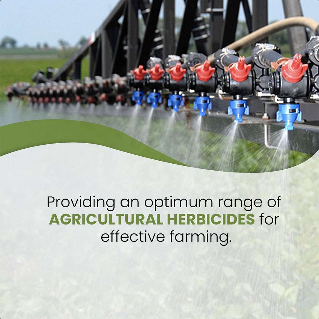 Agriculture