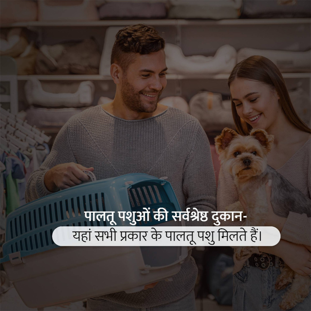 Pet Shop