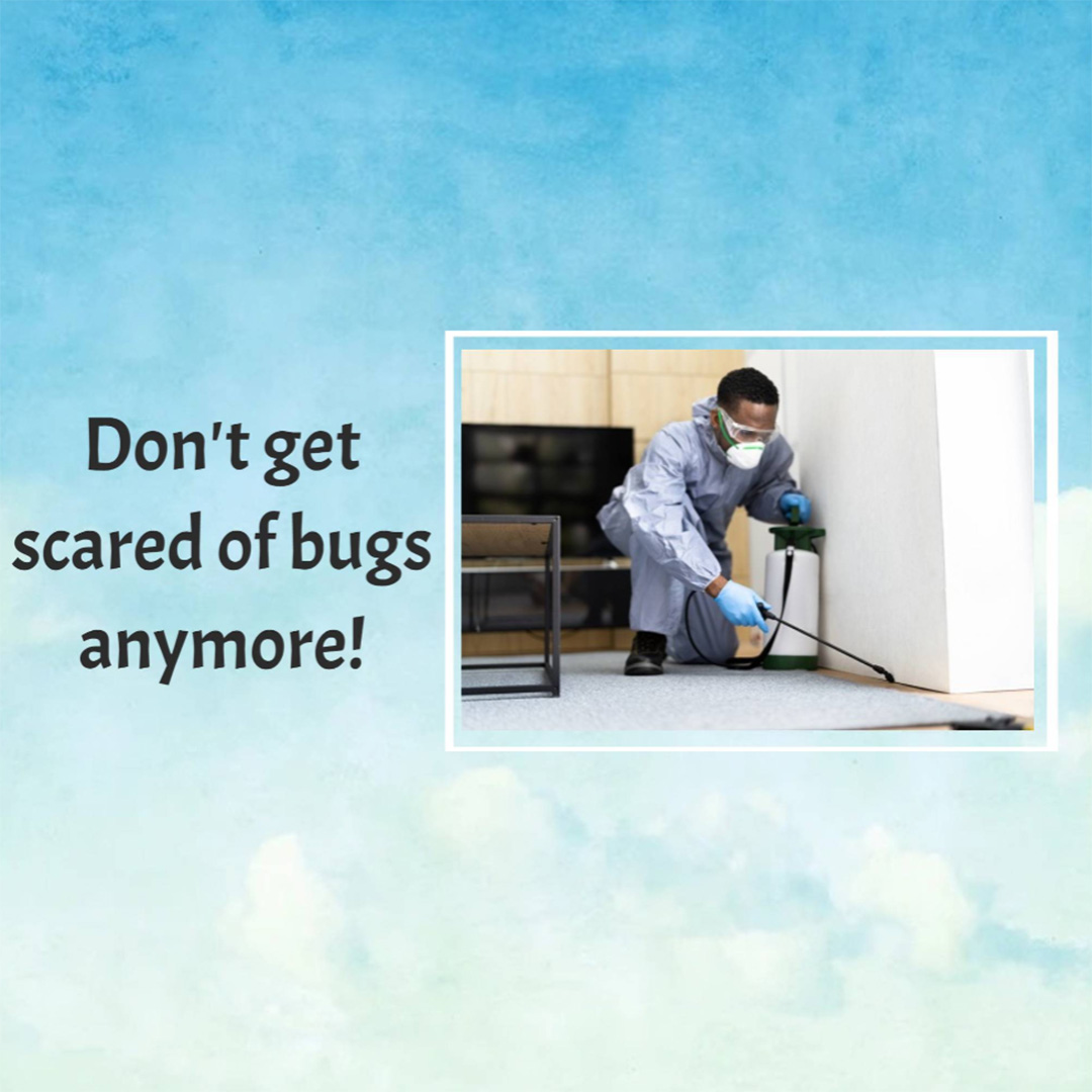 Pest Control