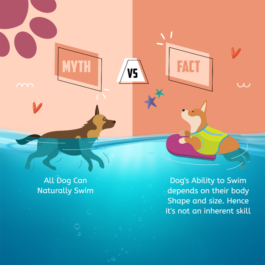 Pet Shop