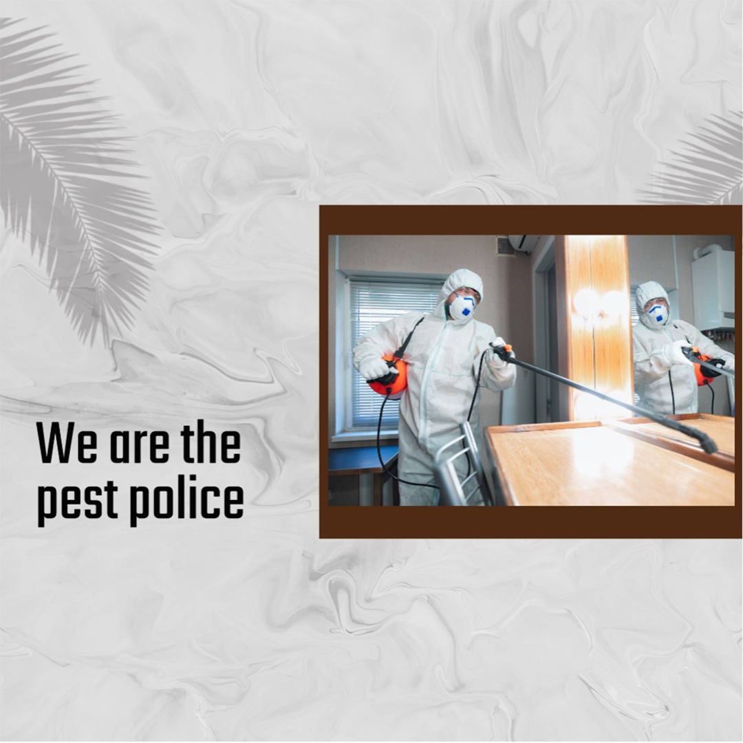 Pest Control