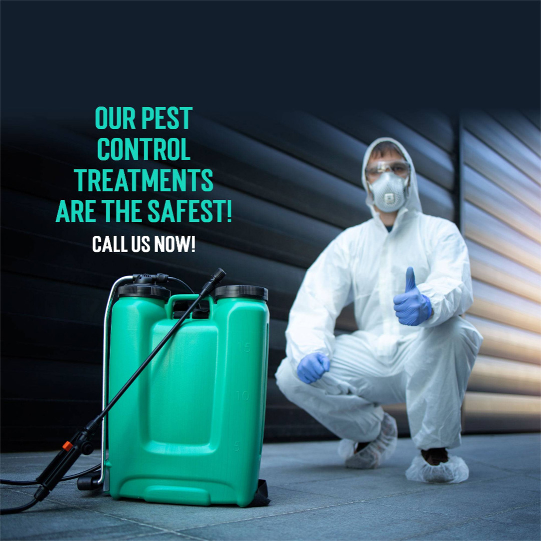 Pest Control
