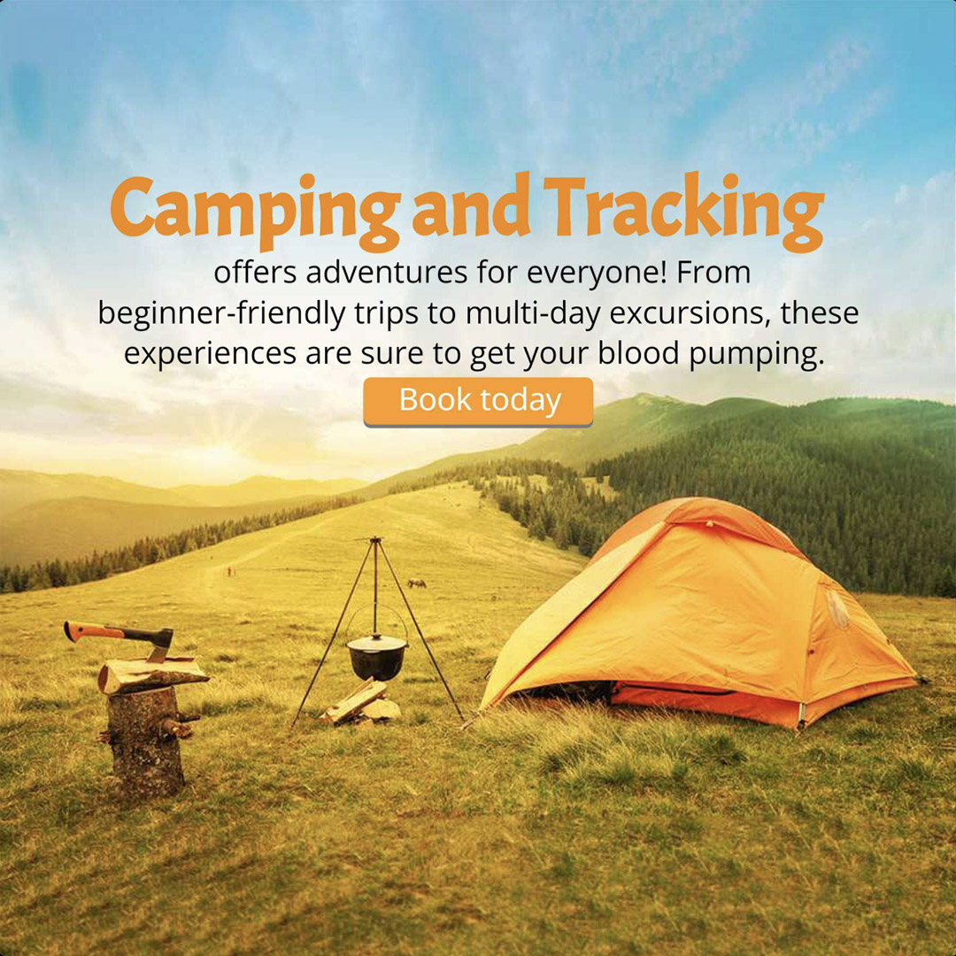 Camping & Tracking