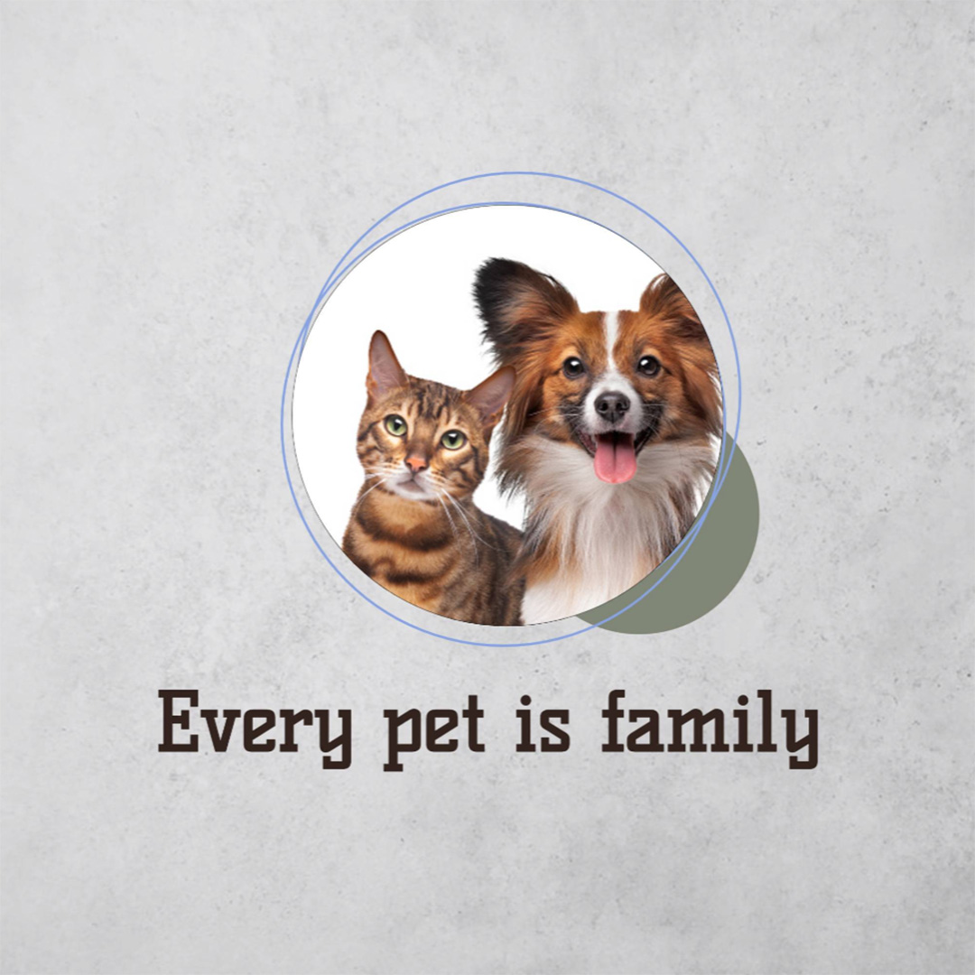 Pet Shop