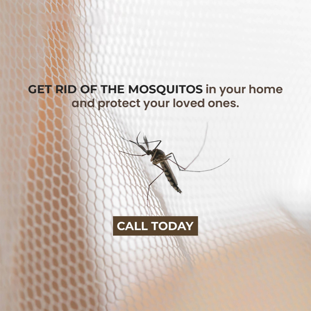 Pest Control