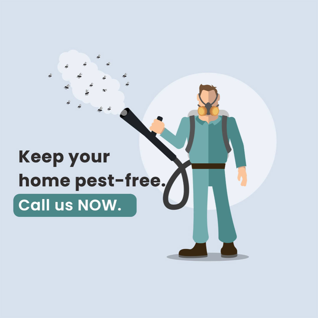 Pest Control