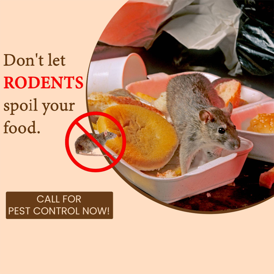 Pest Control