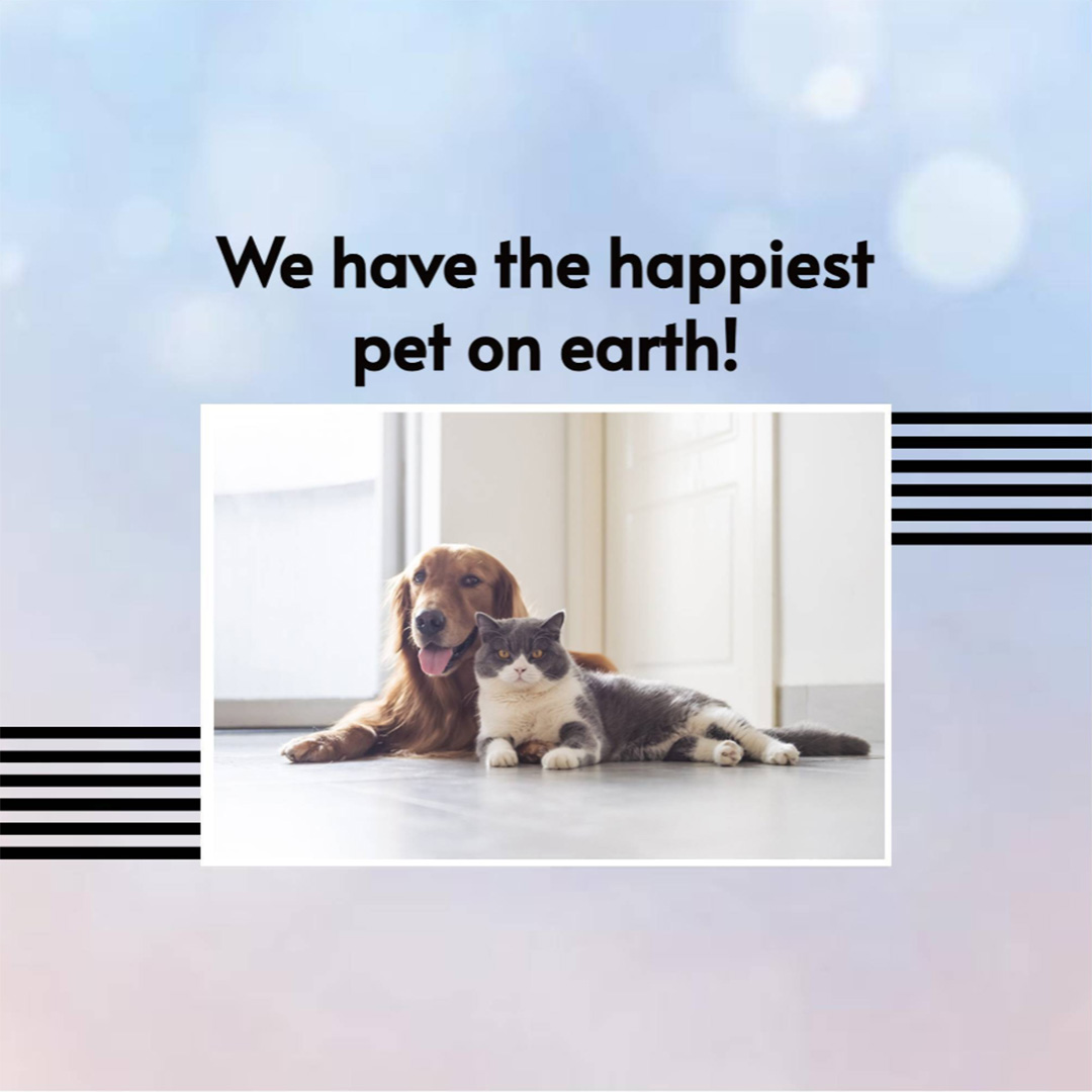 Pet Shop