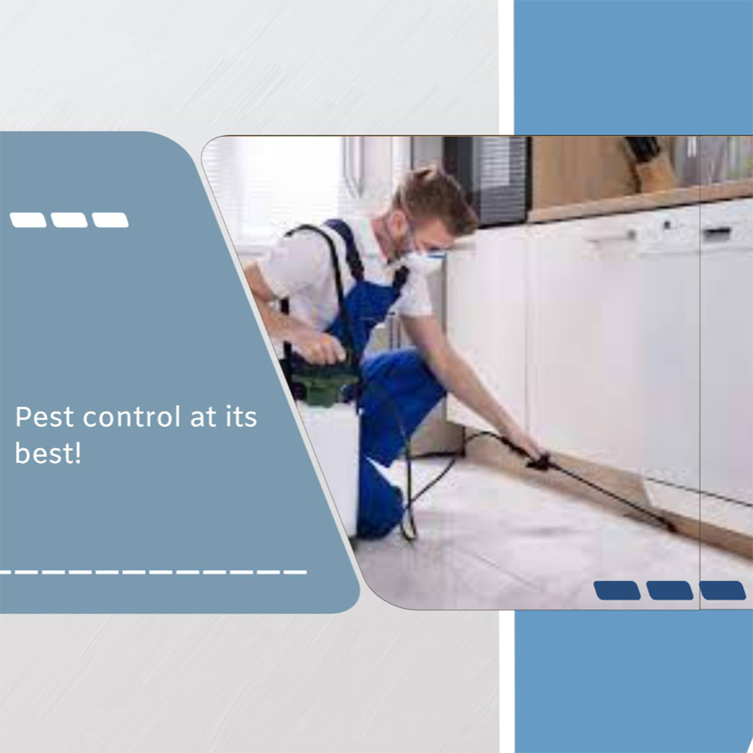 Pest Control