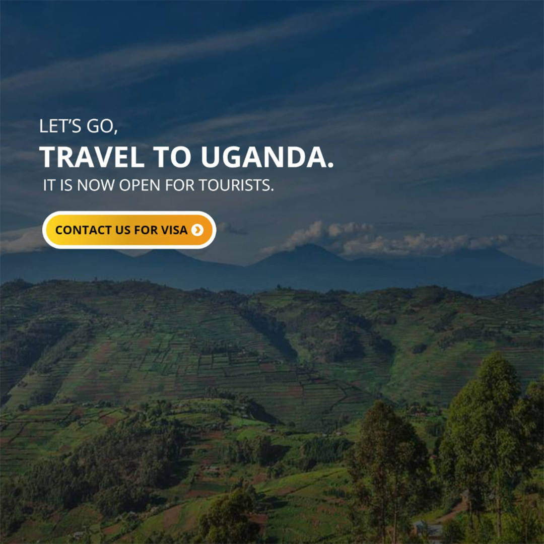 Tours and Travels