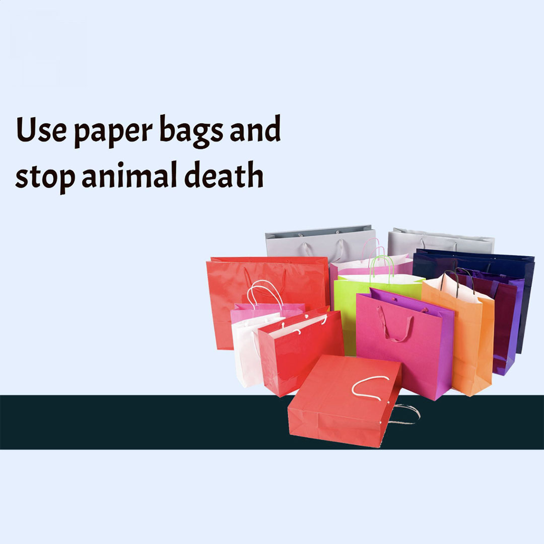 Bag Manufacturing