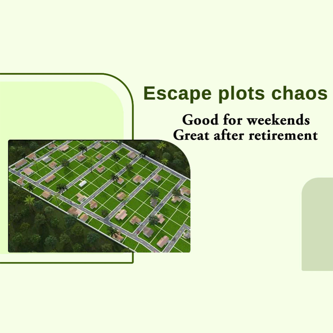 Real Estate