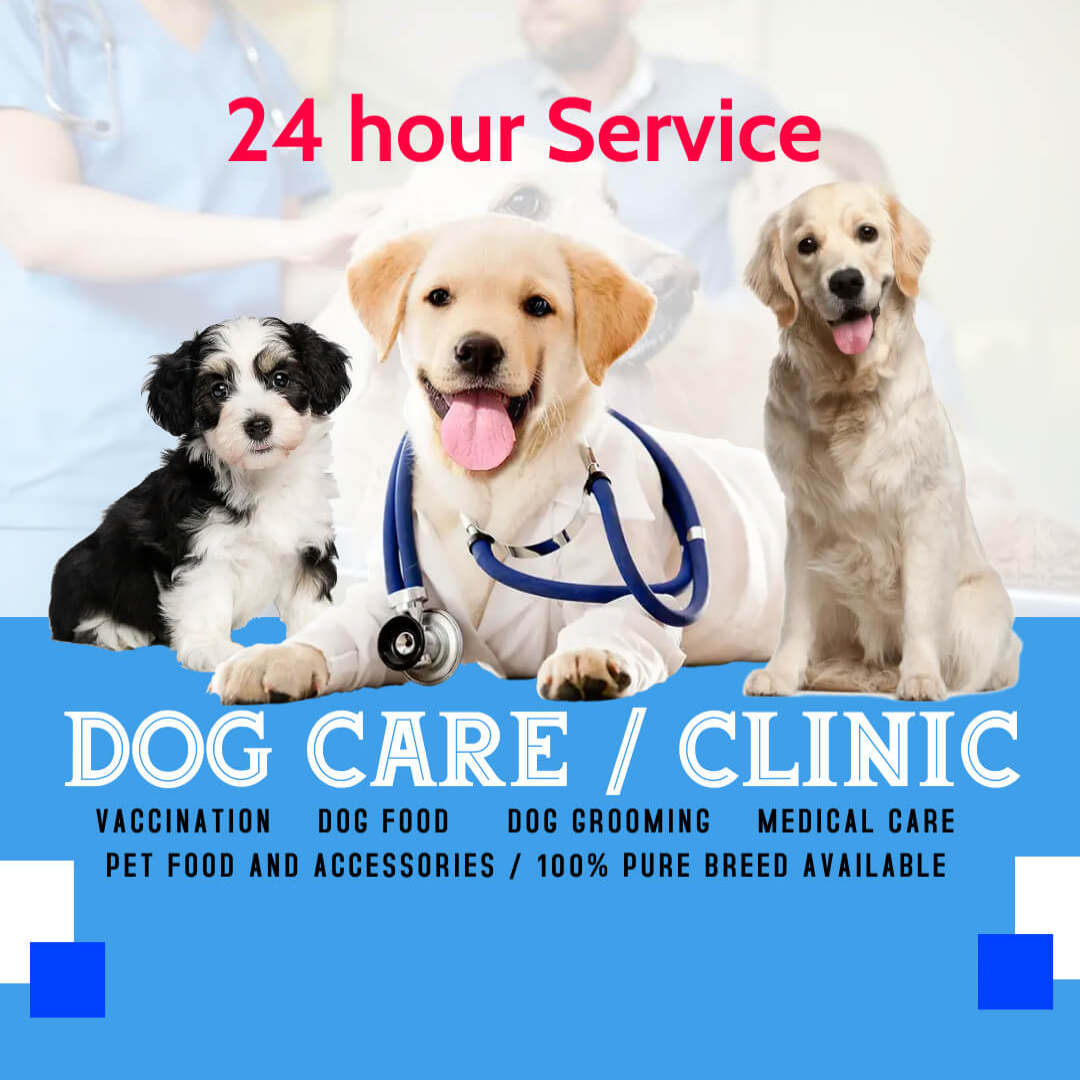 Animal Care