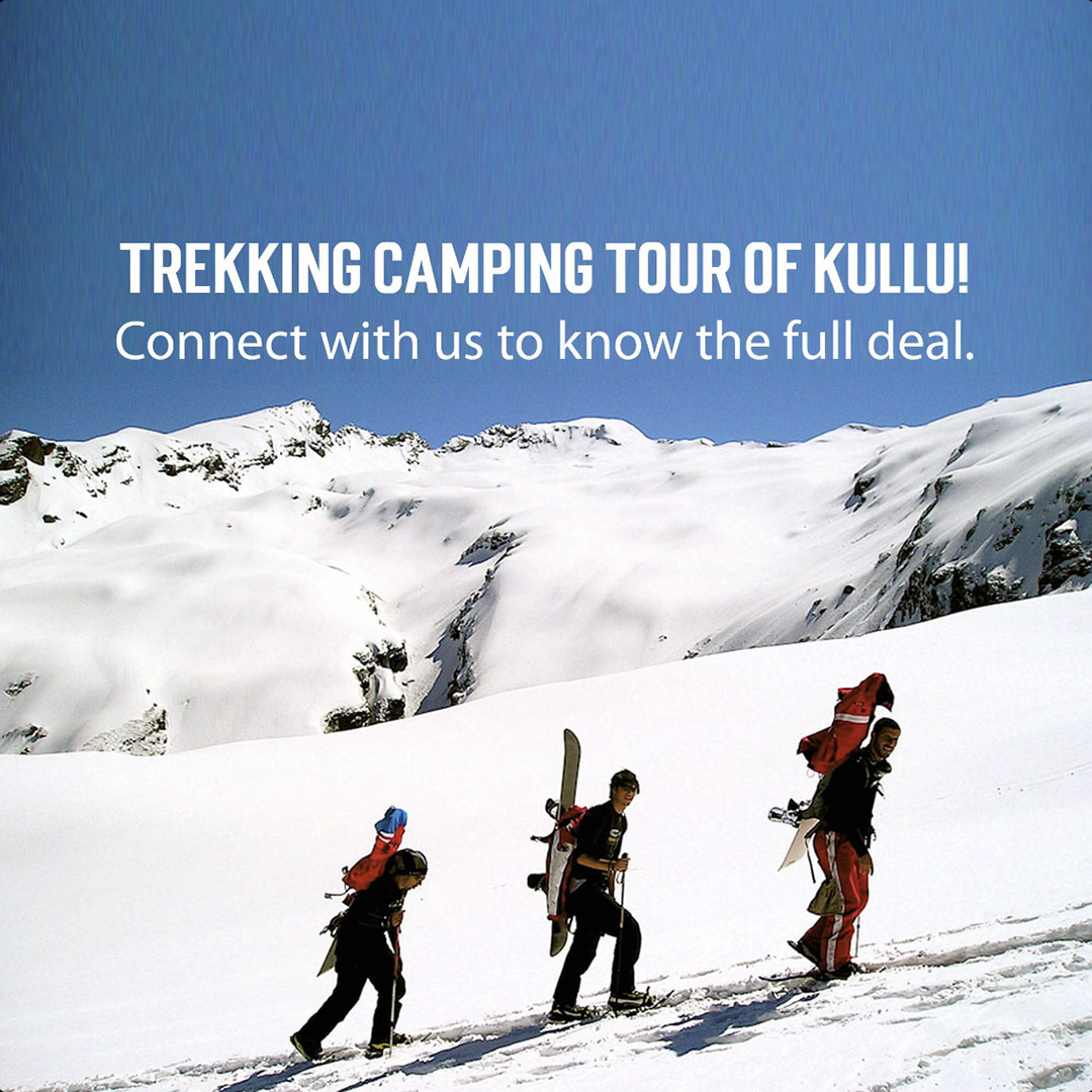 Camping & Tracking