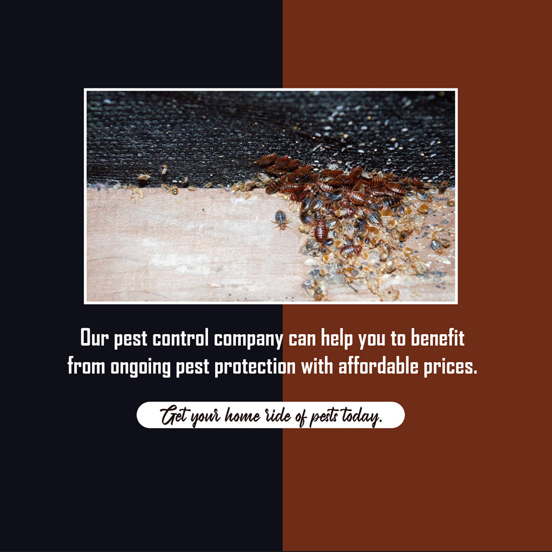 Pest Control