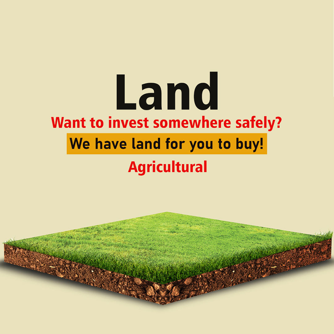Real Estate