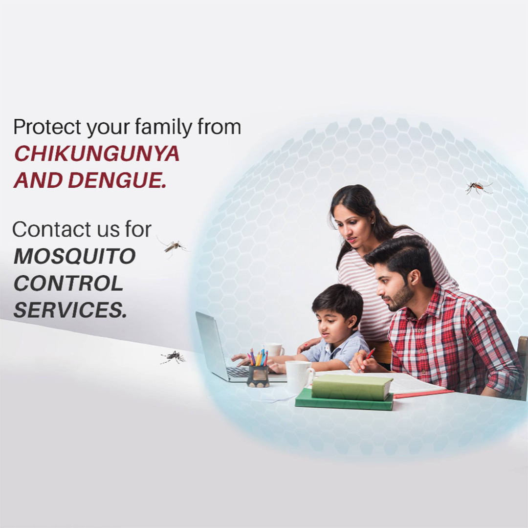 Pest Control