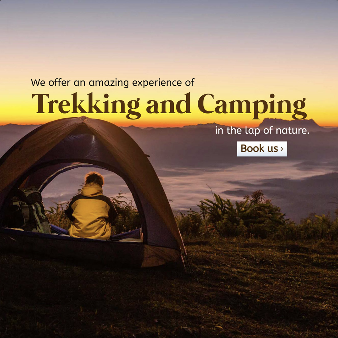 Camping & Tracking