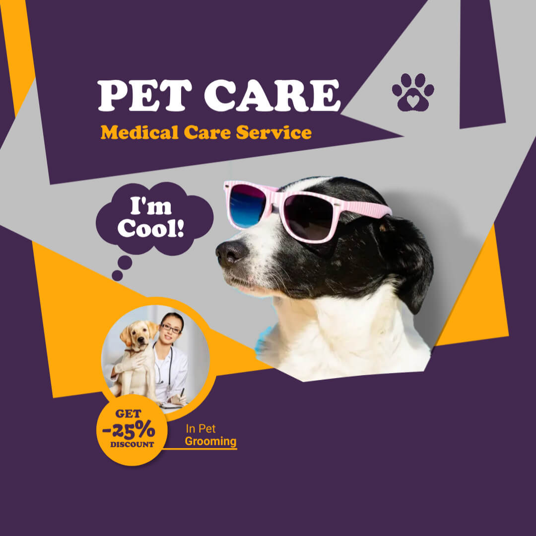 Animal Care