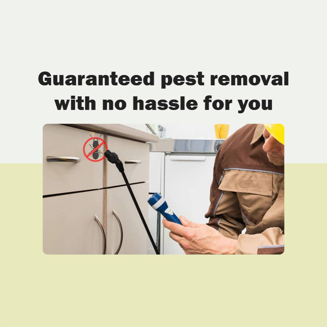 Pest Control