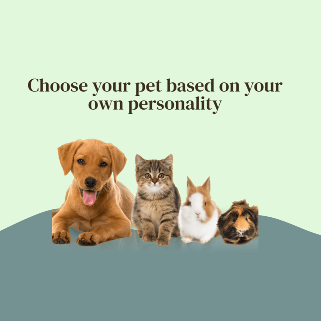 Pet Shop
