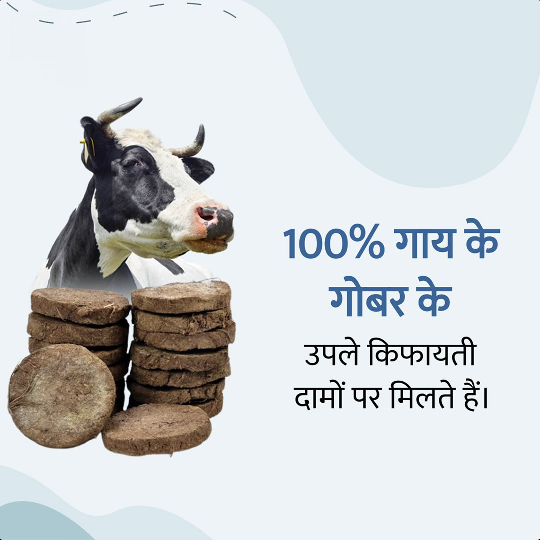 Aayurvedic