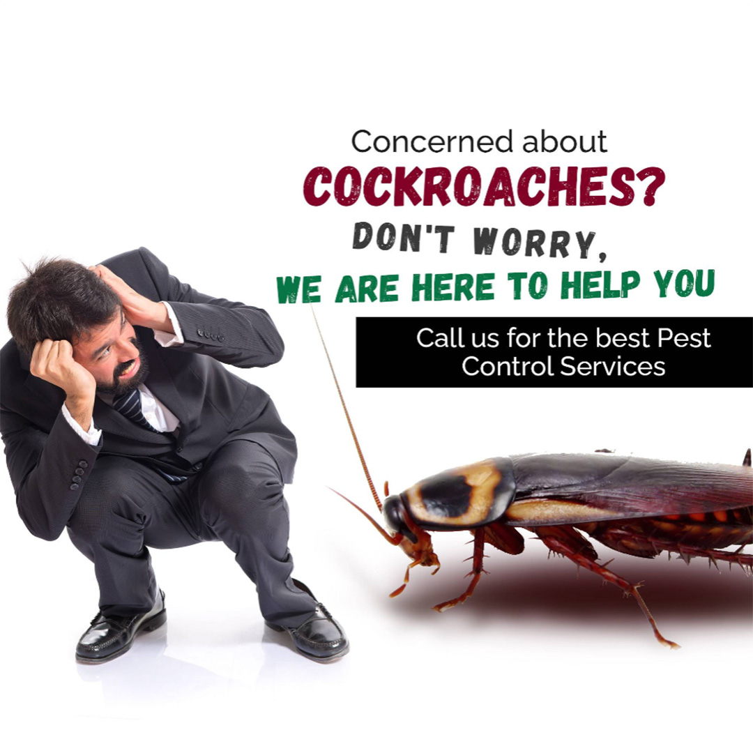 Pest Control